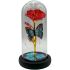 Light-up Roses in Glass Dome - Butterfly Design | Assorted Colors
