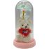 Love Bear and Light-up Roses Valentine's Day Gifts - Assorted Colors | 6 pcs