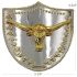 Oversized Bull Shield Belt Buckle