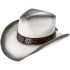 Paper Straw Eagle Style Leather Band White Western Cowboy Hat - Black Shade 