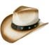 Paper Straw Brown Shade Bull Stitched Band Off-White Western Cowboy Hat