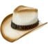 Paper Straw Brown Shade Western Cowboy Hat with Star Laced Edge Band