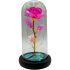 Light-up Roses in Glass Dome - Valentine Gifts for Her | Assorted Colors