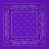 Purple Paisley Print Polyester Bandanas