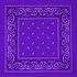 Purple Paisley Print Polyester Bandanas