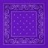 Purple Paisley Print Polyester Bandanas