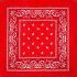 Red Paisley Print Polyester Bandanas