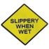 Slippery When Wet Buckle