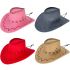 Retro Rodeo Wild West Cowboy Hat Set