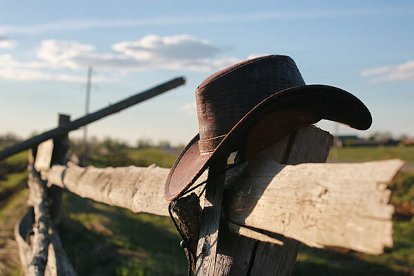 Wholesale Cowboy Hats