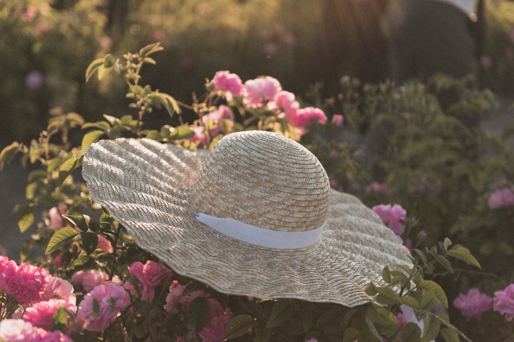 Straw Hat